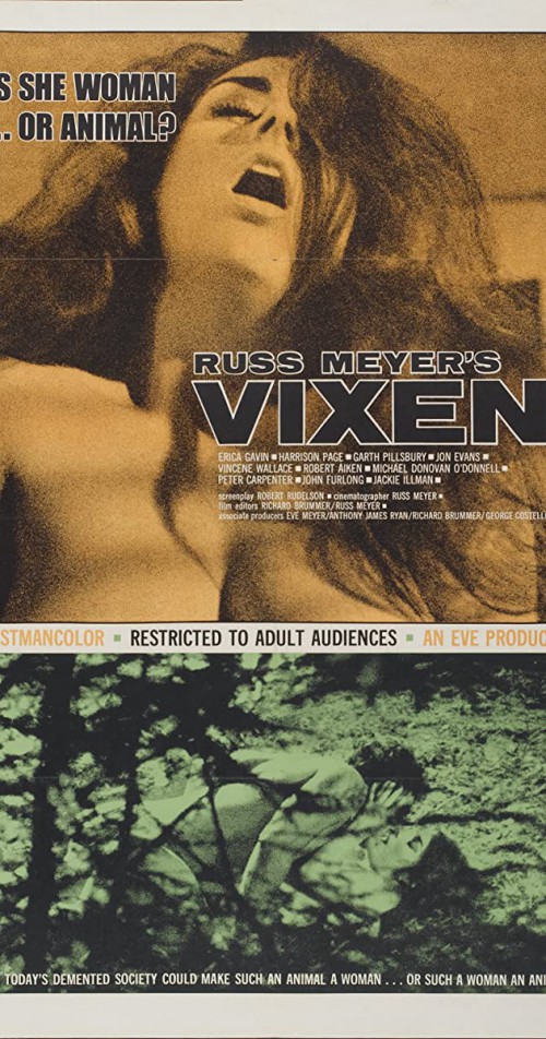 Vixen (1971) USA popular cover