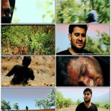 Fear-Movie-Full-Download---Watch-Fear-Movie-online---Movies-in-Hindi.mp4.th.jpg